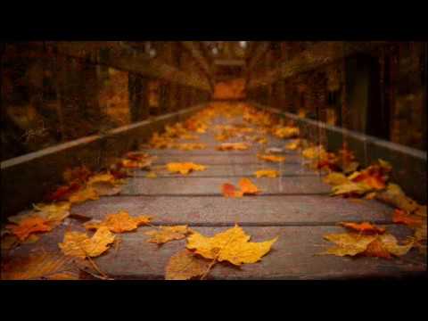 Shane Fenton and The Fentones - Fallen Leaves on the Ground (1962)