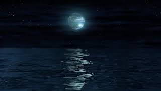 Klaus Schulze  - Bellistique