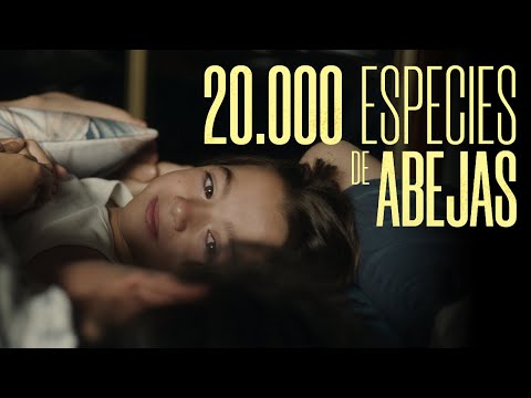 afbeelding 20.000 Especies de Abejas