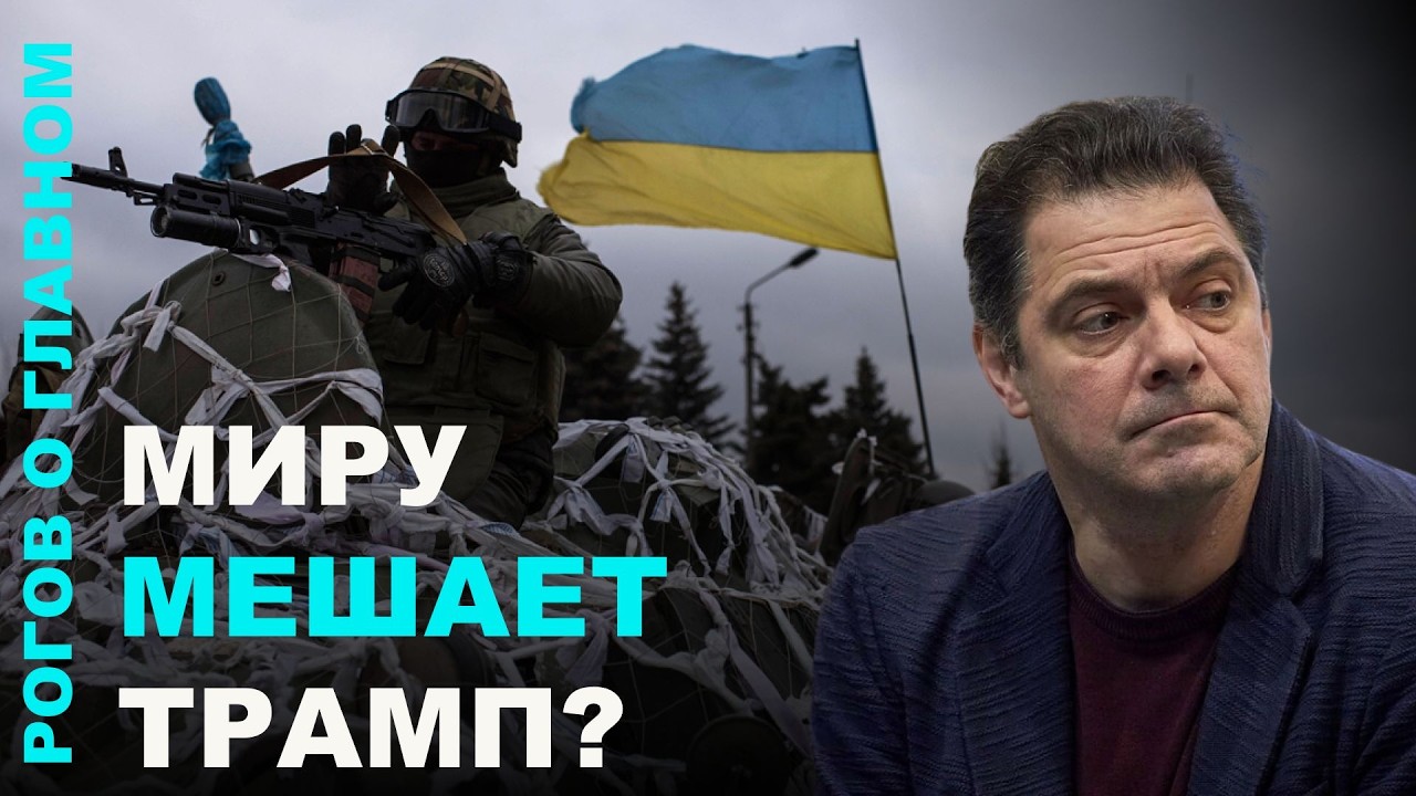 Рогов о главном: переговоры, запрет Телеграма, нападения в школах