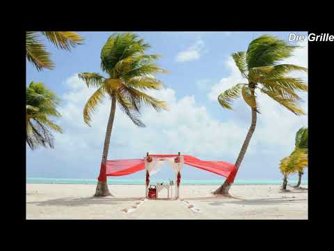 Karibikmädchen Mix - DJ Die Grille ( Official HD Video )