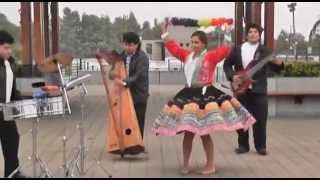 NICOLLE CARBAJAL- EL BORRACHO (HUAYLAS) OFICIAL 2014