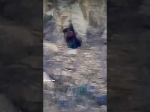 Real giant caught on camera in a cave in Mexico | DARKIVAVERSE