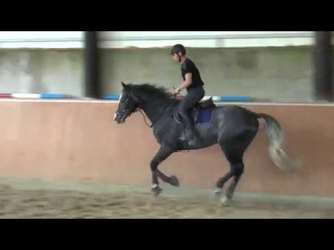 Cornet Obolensky – Eclisp van de Molendreef_2