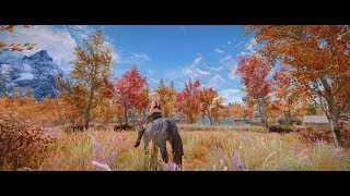 Skyrim Nov 2018 Various mods