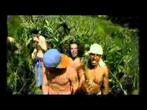 Димна завеса - Сектор задимен (Sniper records)