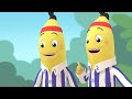 The Great Race Bananas In Pyjamas Season 1 Full Episodes Bananas In Pyjamas