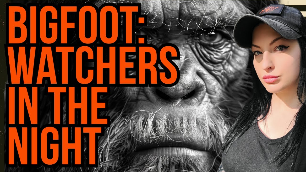 Sasquatch Encounter - Dark Corner: Watchers In The Night