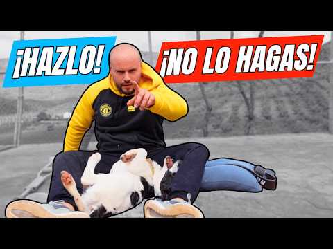 APRENDE a usar el IMPERATIVO con estos ejercicios