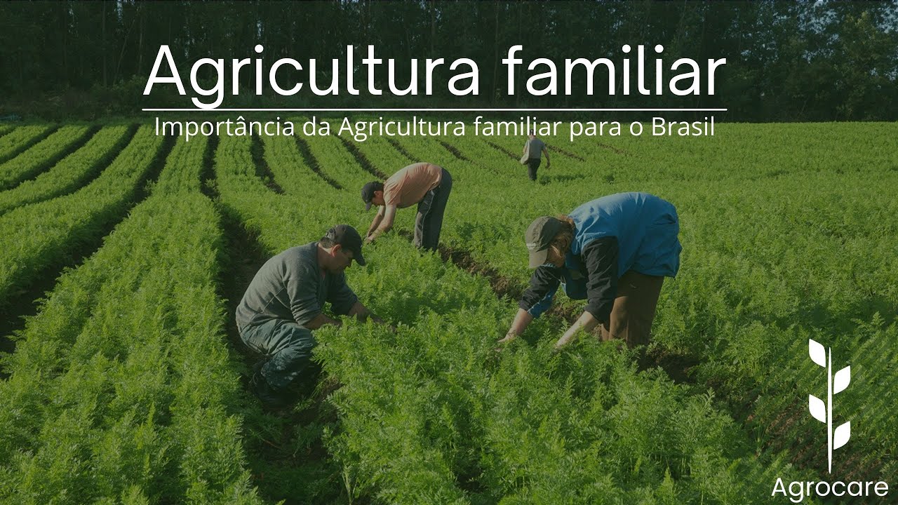 QUAL A IMPORTÂNCIA DA AGRICULTURA FAMILIAR PARA O BRASIL?