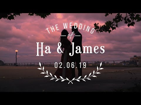 Wave Digital Arts Ltd. video.