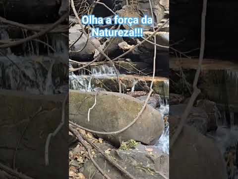 Nascente do Rio Buritizinho região Alvorada do Norte GO#natureza para quem gosta.