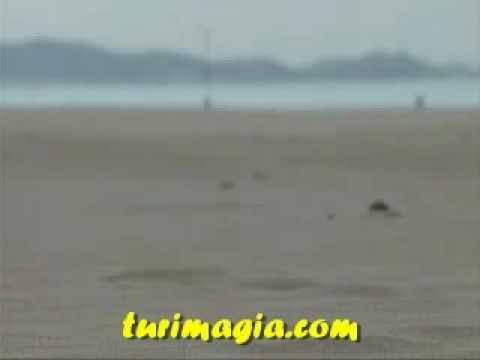 playa_Gandia_Espana.flv