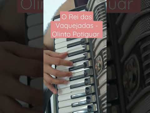 O Rei Das Vaquejadas - Olinto Potiguar