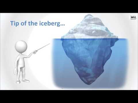 Basement Finishing University Review