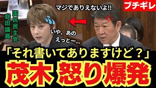 【茂木ブチギレ】国民民主党 庭田議員のイラン追及に茂木大臣が大激怒！「それ本気で言ってんの？」国会騒然....
