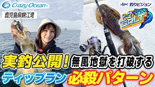 無風地獄を打開するティップラン必殺