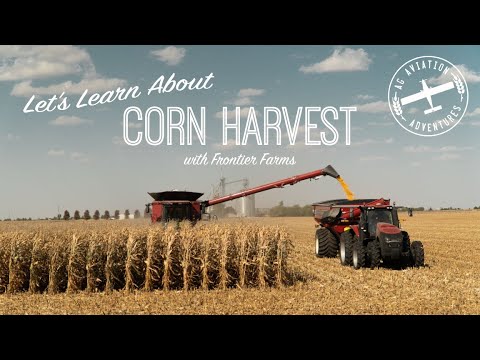 Behind the Scenes Corn Harvest + Ride Along in a Combine