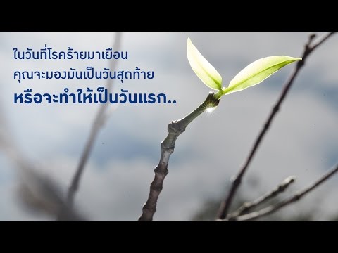 คลิกเพื่อดูคลิปวิดีโอ