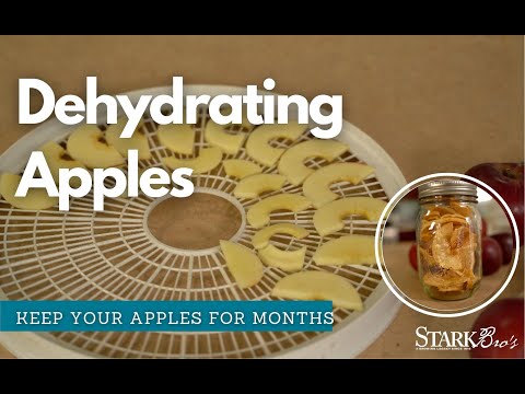 Dehydrate Apples for Long Term Apple Storage