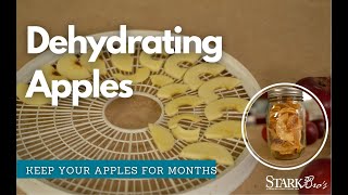 Dehydrate Apples for Long Term Apple Storage