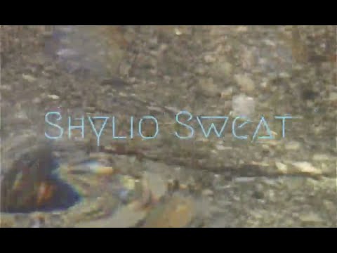 preview image for VXercise - Shylio Sweat (6)