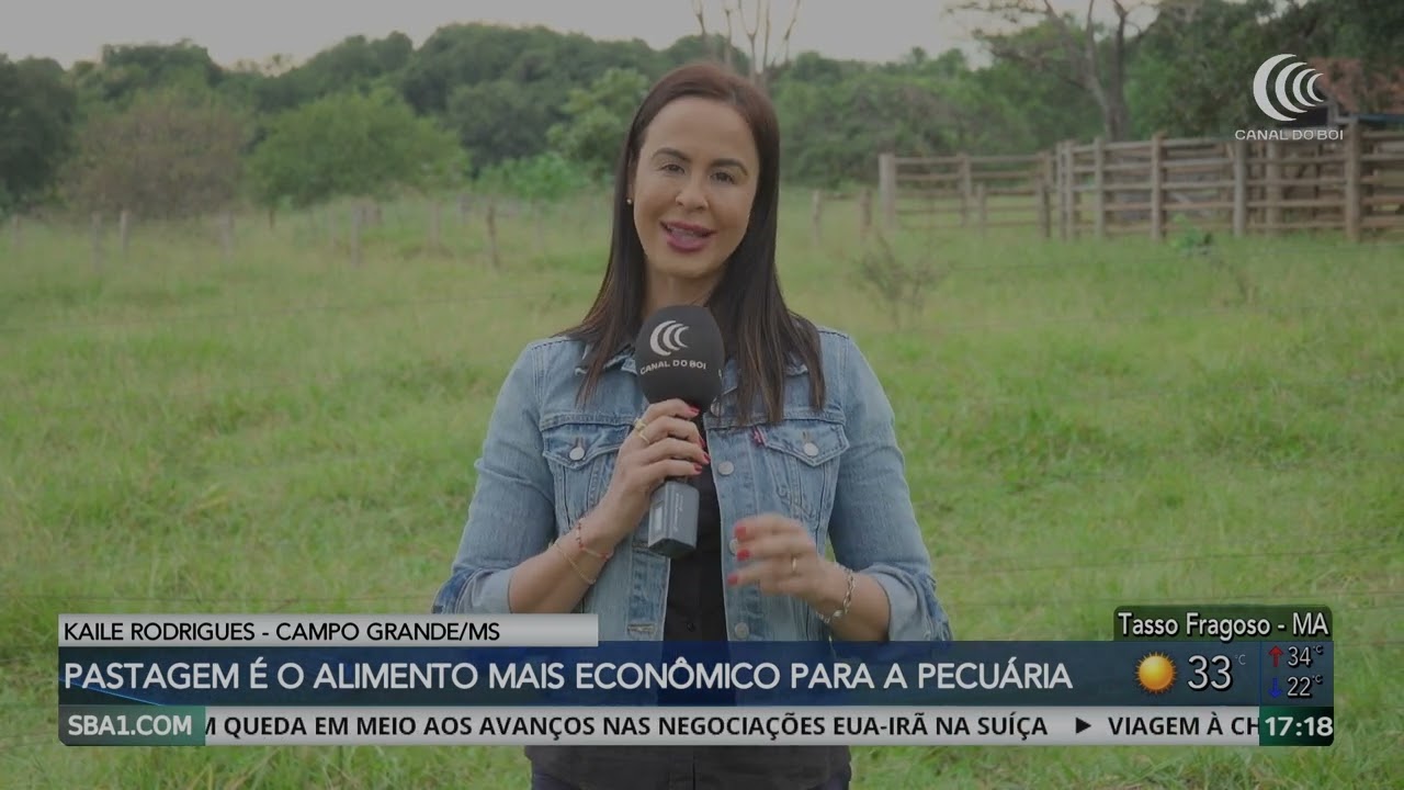 Sistemas integrados evitam a degradação de pastagens