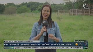 Miniatura do vídeo