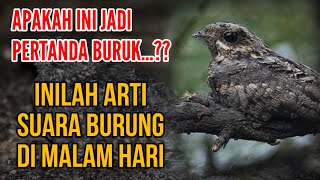 Download lagu APAKAH AKHIR2 INI MENDENGAR SUARA BURUNG DI MALAM HARI ?? INILAH ARTI SUARA BURUNG DI MALAM HARI mp3 Download lagu APAKAH AKHIR2 INI MENDENGAR SUARA BURUNG DI MALAM HARI ?? INILAH ARTI SUARA BURUNG DI MALAM HARI mp3