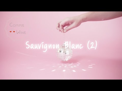 , title : '소비뇽 블랑 Sauvignon Blanc (2) | 와인 품종 이야기 | 와인 기초 | 와인공부'