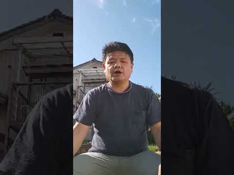 企画構想学科 #emmyWash_Jingle 椎名大介（マイネム）より