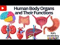 Internal Organs of Human body | Parts of The Body | Internal Organs | Body Organs in English