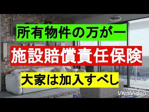 家庭用プールと庭の保険について知っておくべきことすべて  庭園