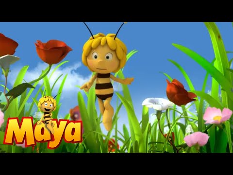 The stranger - Maya the Bee - Episode 13