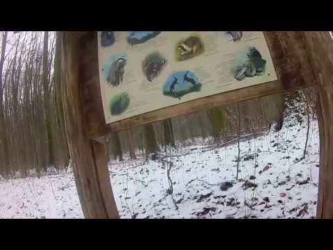 2017-01-08 - En bicicleta pel Naturschutzgebiet Eldena