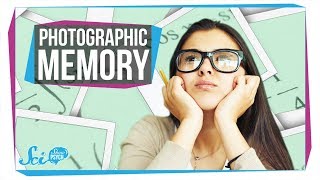 Does Photographic Memory Exist?