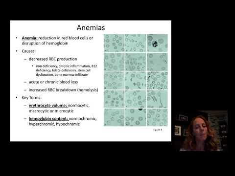 Introduction to Hematology