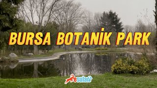 Esular | Bursa Botanik Park Akıllı Sulama Projesi