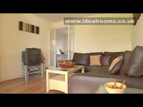 Ideal Rooms Shared Living for Professionals