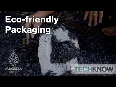 環保包裝 - TechKnow (Eco-friendly Packaging - TechKnow)