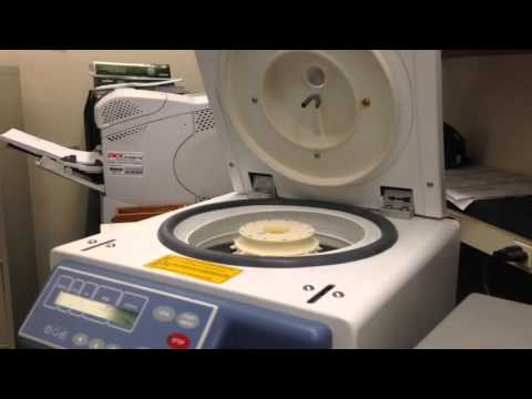 Blood Bank- Fetal Maternal Bleed Screen