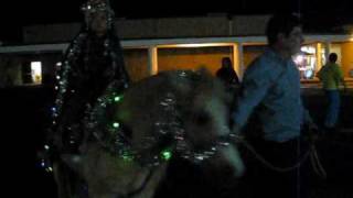 preview picture of video 'Sante Fe Texas, Christmas Parade 2009.wmv'