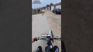 Download lagu This man went back to chasing the dog that was chasing him ‼️😂#shorts mp3