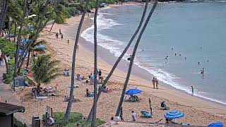Napili Kai Beach Resort Live Cam | Maui Beach Cam live webcam