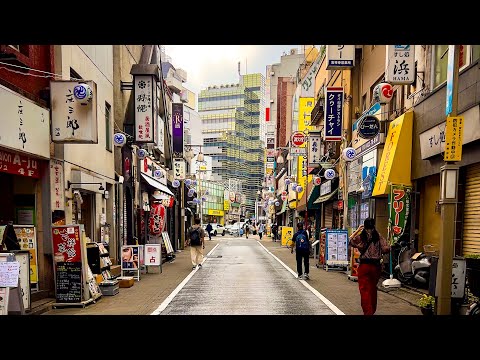 Japan 4K HDR: Kichijoji & Inokashira Park - 4-Hour Immersive POV Archive (Western Tokyo)