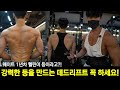 (헬린이 특집 5화) 강력한 등을 만드려면 꼭 데드리프트 하세요! #루마니안데드 #암풀다운 #헬린이