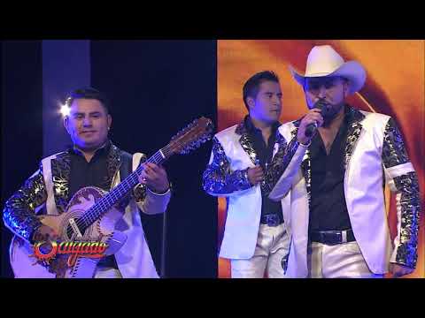 El Negro Carrillo - Los Hermanos Salgado (En vivo)