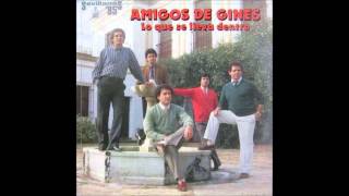 Amigos de Gines-El loco