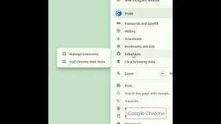 Google Chrome Manage Extensions
