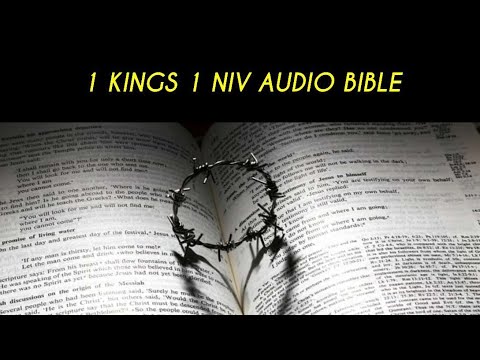 1KINGS 1 NIV AUDIO BIBLE (with text)